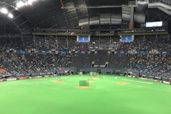 プロスピ2019 北海道日ハムVS東京ヤクルト 観戦試合応援歌付き